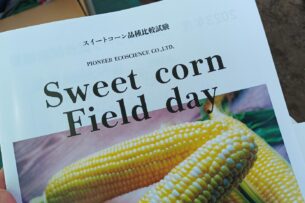 夏休みのキッズ料理教室②