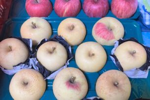 東海地区のモーニング文化