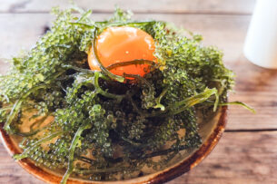 楽しみでしかたない25日、タヌキ娘たちが登場!!