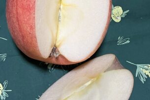 【りじつぶ】沖縄やんばるのカフェ